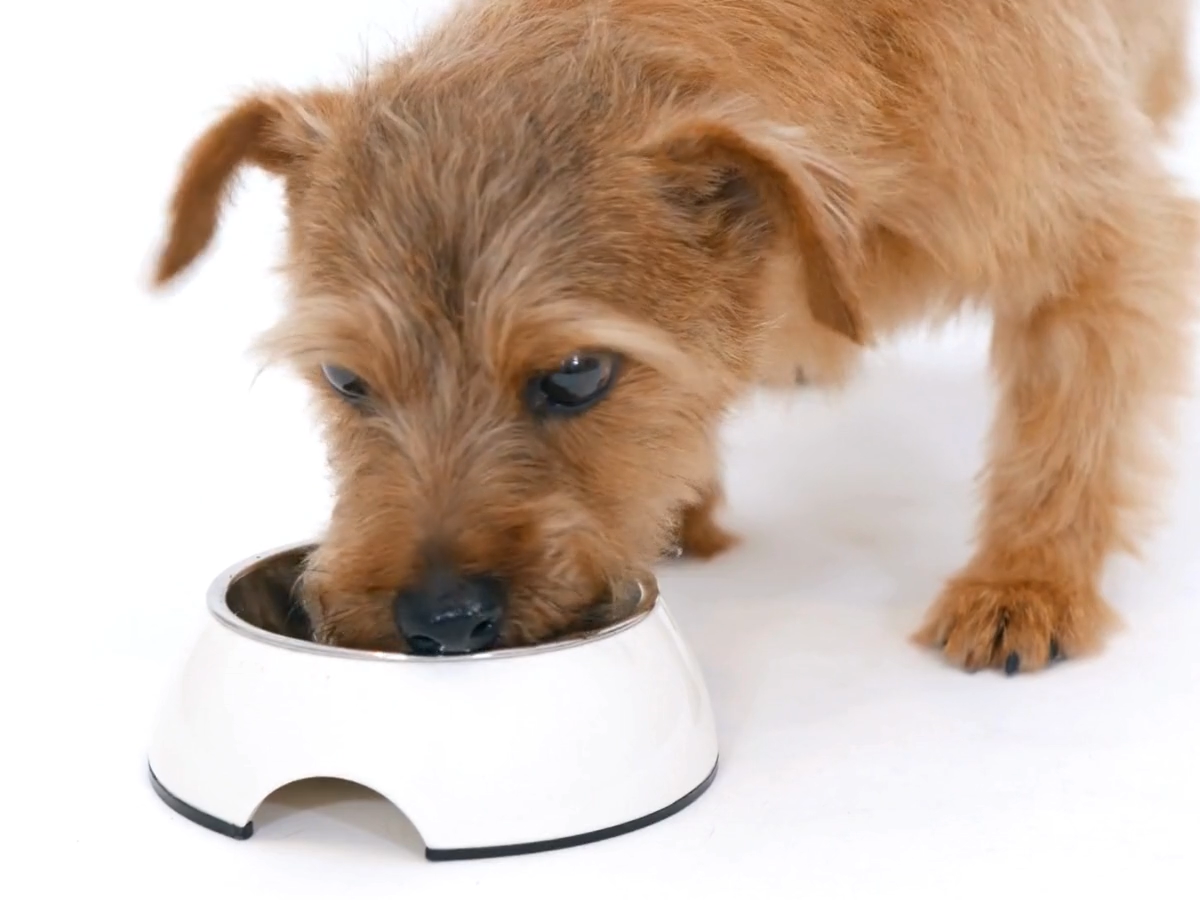 liver health cover img