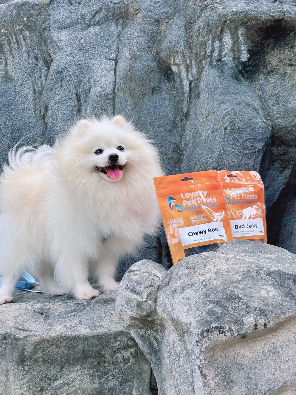 Loyalty Pet Treats: Chewy Roo 100g 4 Loyalty Pet Treats: Chewy Roo 100g - Image 4