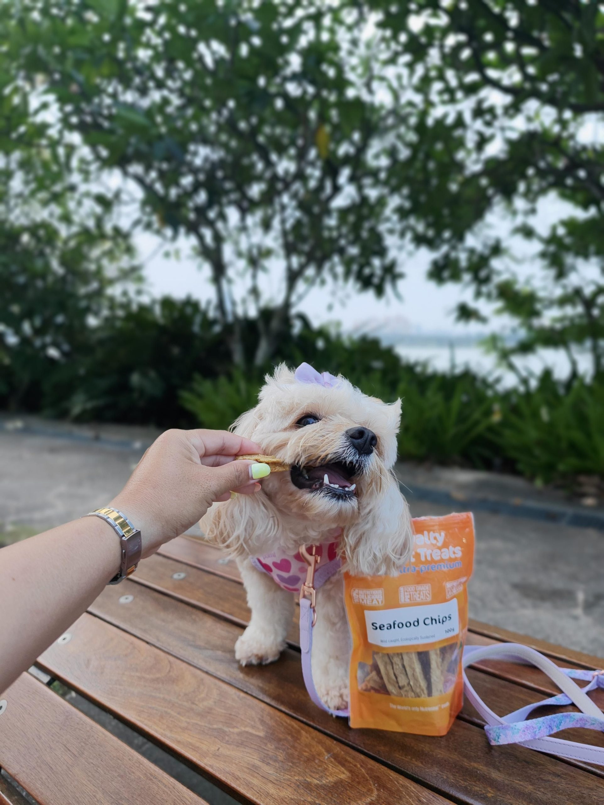 Loyalty Pet Treats: Seafood Chips 100g 4 Loyalty Pet Treats: Seafood Chips 100g - Image 4