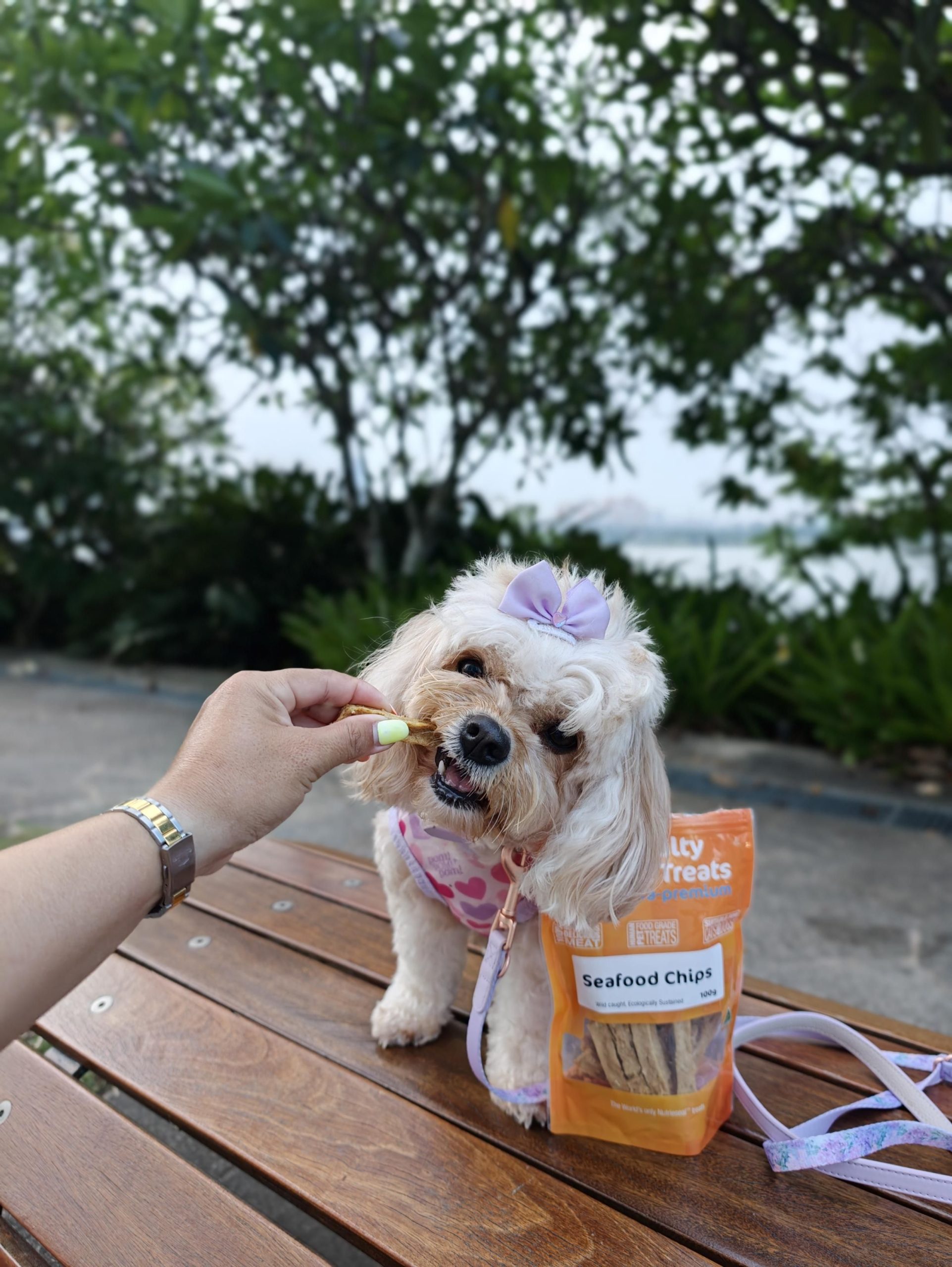 Loyalty Pet Treats: Seafood Chips 100g 3 Loyalty Pet Treats: Seafood Chips 100g - Image 3